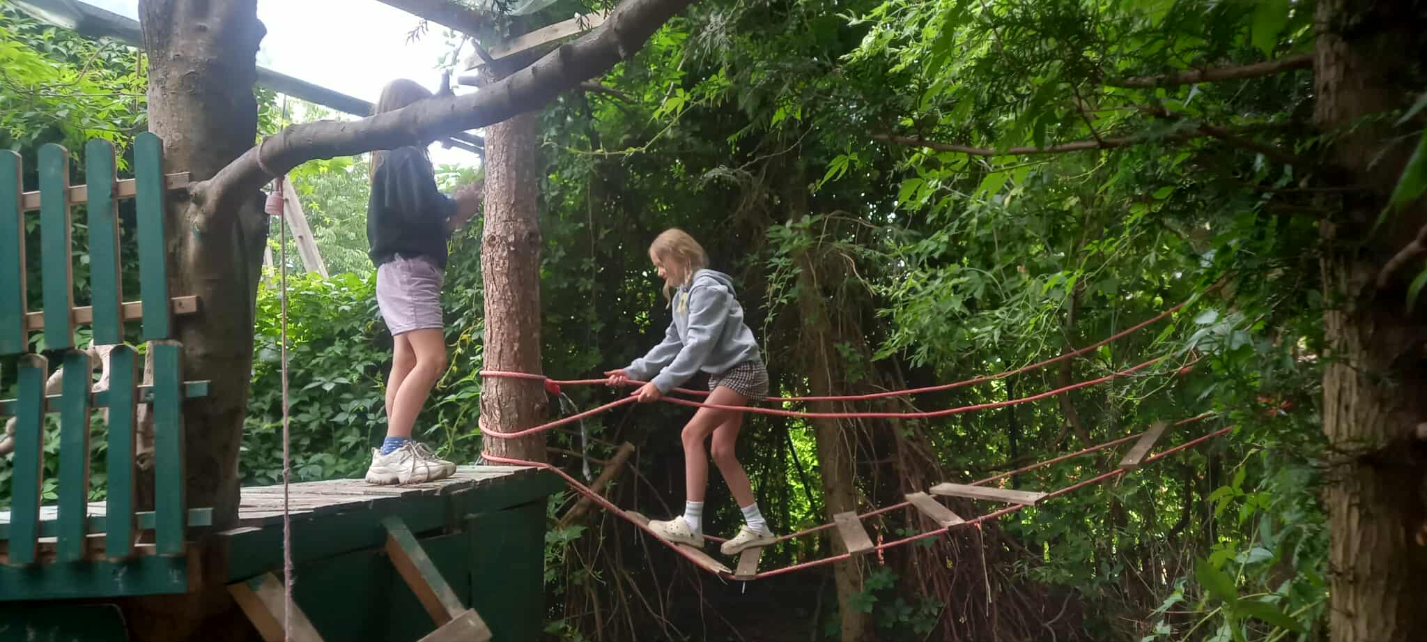 Trasa leśna w domu rozwoju z kładkami i linami